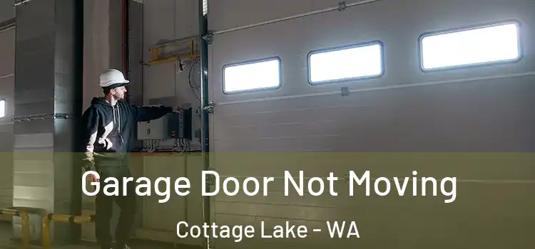  Garage Door Not Moving Cottage Lake - WA