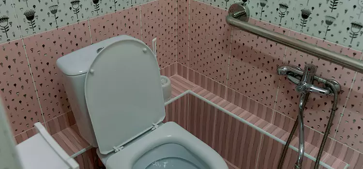 Meeting Diverse Needs With Accessible Restroom Solutions in Cottage Lake, WA