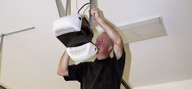 Garage Door Opener Service Cottage Lake